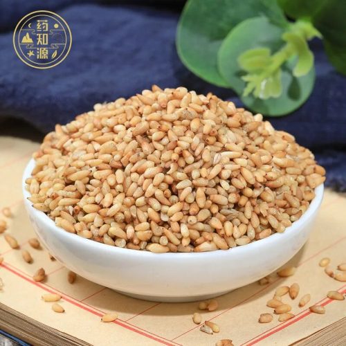 Bá Tử Nhân - dược liệu y học cổ truyền Trung Hoa (nhân hạt tuyết tùng đã bóc vỏ)
