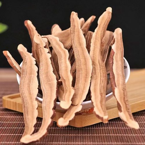 Nấm Linh Chi chất lượng cao