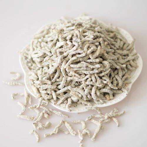 Cương tàm (tằm vôi) khô Trung Quốc - dược liệu thảo mộc dùng làm gia vị và thuốc Đông y
